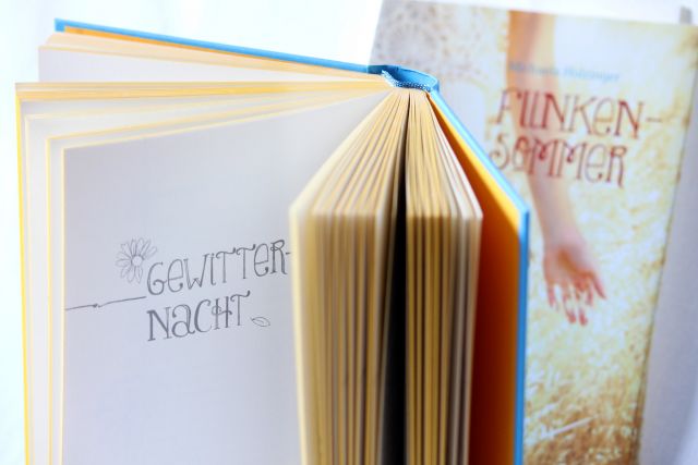 Buchgestaltung für den Jugendroman Funkensommer von Michaela Holzinger