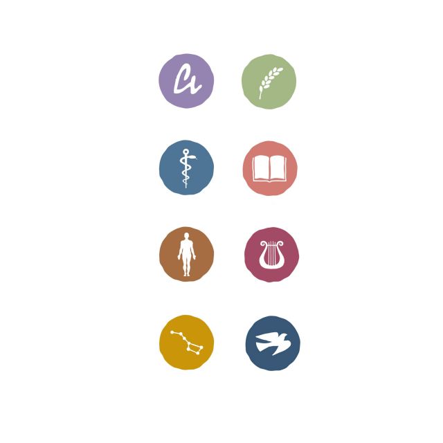 Gestaltung der Logos und Icons für die einzelnen Bereiche der Internetseite des Newsportals anthromedia.net