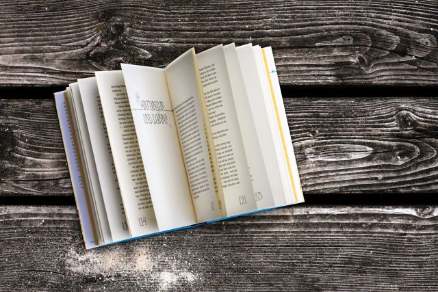 Buchgestaltung für Michaela Holzingers Roman Funkensommer