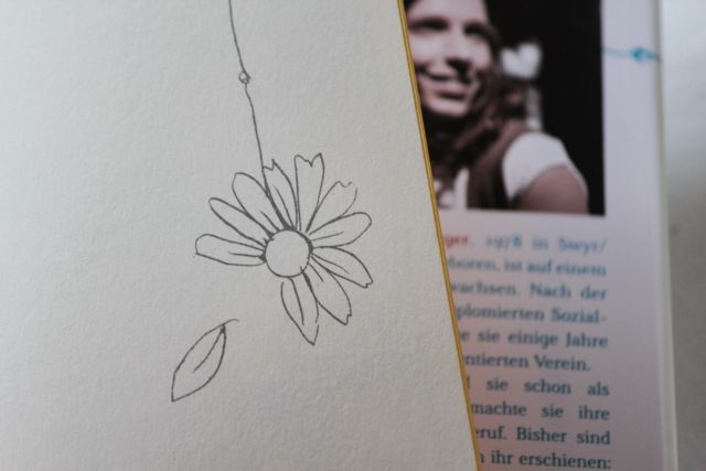 Buchillustration-Funkensommer