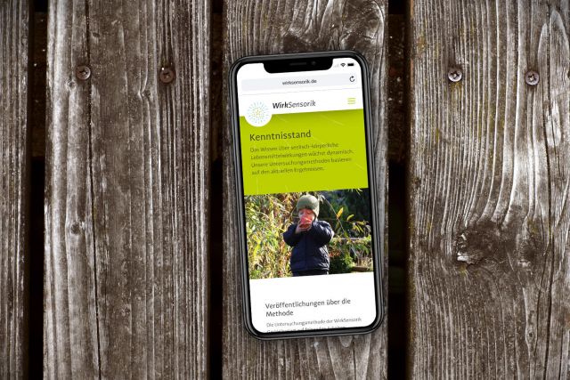 Responsive Website und Logogestaltung für Wirksensorik