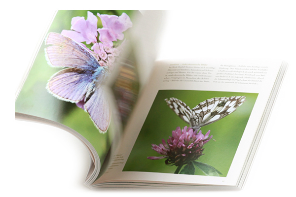 Buchgestaltung und Buchlayout für den Gartenpark am Goetheanum