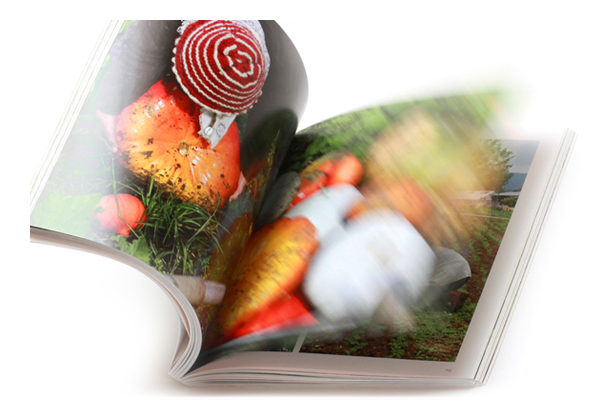 Buchgestaltung und Buchlayout für den Gartenpark am Goetheanum
